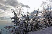 Spettacolo il Linzone con tanta neve fresca fresca domenica 10 gennaio 2010 - FOTOGALLERY